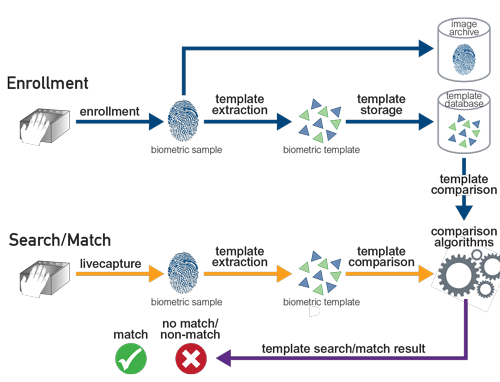 Biometrics biometrics biometrics dissertation research thesis