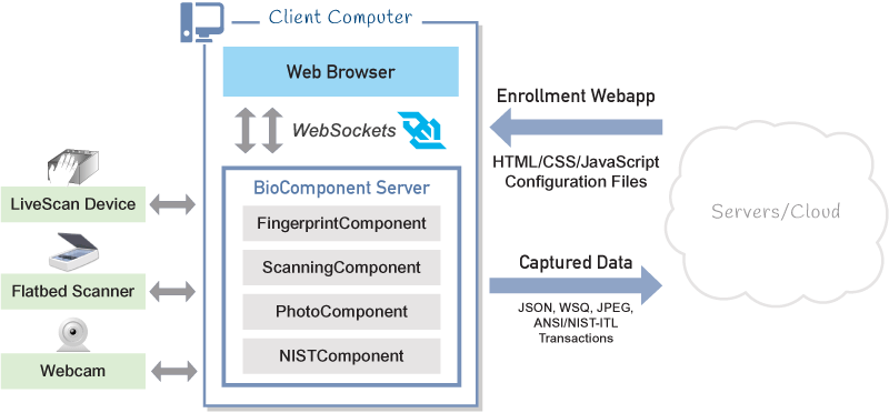 BioComponents