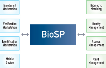 biosp_connectivity