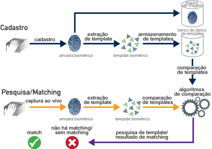 Um sistema biométrico