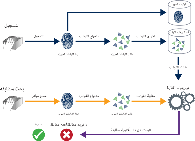 الشكل 1 - نظام القياسات الحيوية