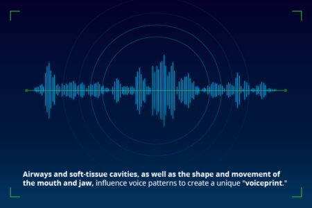 Voice authentication