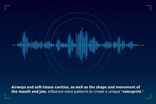 Voice authentication 