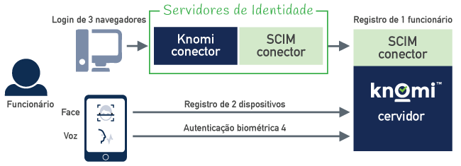 Knomi