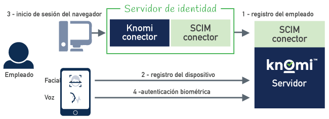 Knomi