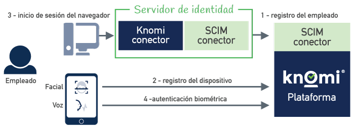 Knomi