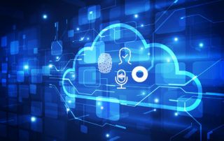 Biometrics in the Cloud