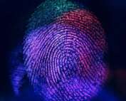 Rapid Fingerprinting