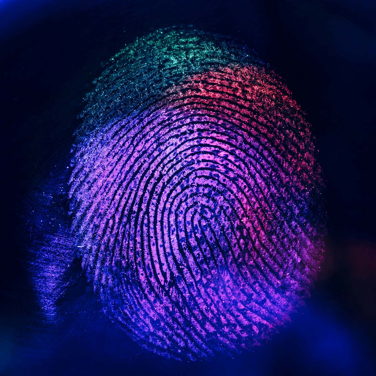 Rapid Fingerprinting